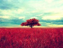 Retro red tree and a beautiful wheat field