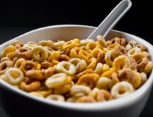 Honey rings and milk for breakfast - macro HD wallpaper