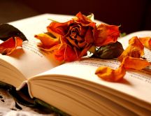 Autumn flowers in a book of memories