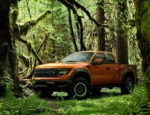 Big car in the forest - the powerful Ford Raptor