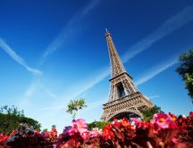 Colored flowers in Paris - beautiful Eiffel Tower