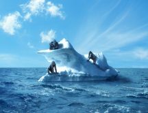 Three monkey on an iceberg in the middle of the cold water