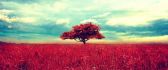 Retro red tree and a beautiful wheat field