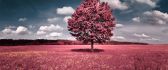 Beautiful pink flower field - autumn tree