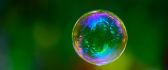 Green nature through a soap bubble