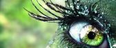 Beautiful art make-up - fantastic green eye