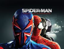 Different masks for Spiderman - HD computer game