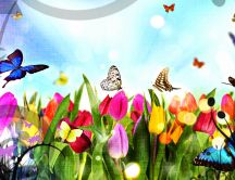 Beautiful butterflies in the flower garden - HD wallpaper