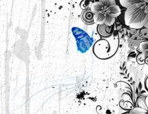 Blue butterfly on a gray background