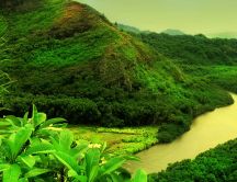 Beautiful green nature - mountain river