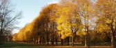 Autumn sunny day is a park in Oslo - HD wallpaper
