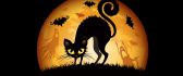 Cats are evil on Halloween night - HD wallpaper