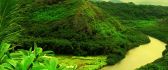 Beautiful green nature - mountain river