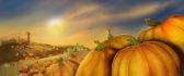 Pumpkins on a field - autumn picture
