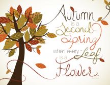 True message about autumn season - HD wallpaper