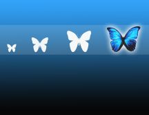 Transformation of butterflies - computer art design