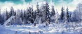 Winter season - white cold nature