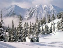 Big mountains full with snow - winter landscape