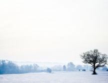 White winter landscape - HD wallpaper