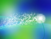 Shiny dandelion fluff on a beautiful colour background