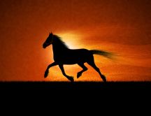 Beautiful shadow of a horse running in the night