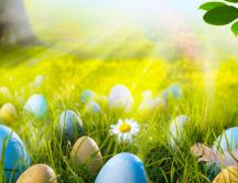 Easter eggs in the sunlight - beautiful HD spring Holiday
