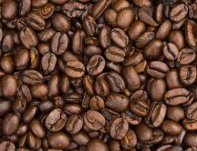 Roasted coffee beans - delicious flavour in the morning