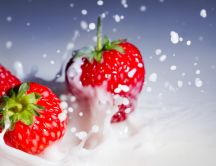 Strawberry dropped in milk - macro HD wallpaper