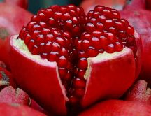 One red fruit full of vitamins - delicious pomegranate