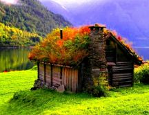 Small cottage in the middle of the beautiful nature