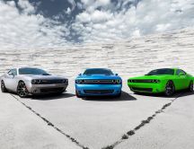 Collection cars - Dodge Challenger 2