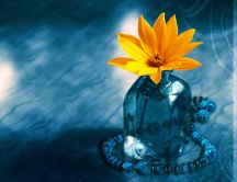 Yellow flower in an ice cube - HD free wallpaper