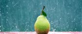 Fruit of the summer - delicious pear in the rain