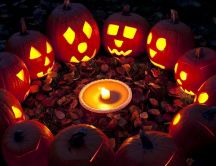 Ritual pumpkins in the forest - Happy Halloween party