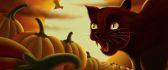 Black cat and lots of pumpkins - Cartoon Halloween