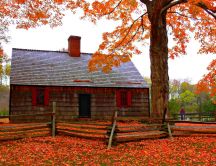 Old house cover with autumn leaves - HD wallpaper