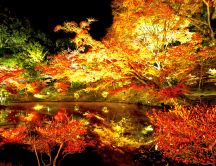 Beautiful lights in the park at night - autumn season