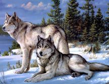 Wolfs in the snow - beautiful winter painting