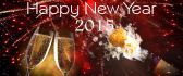 Happy New Year 2015 - fireworks and champagne