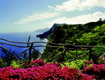 Wonderful island - Madeira with a romantic landscape