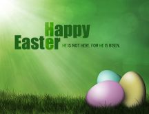 Green spring - Happy Easter Holiday