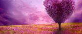 The lovers tree - Pink flowers on the field