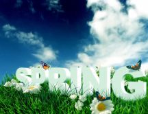 Beautiful season - The Earth is green in spring