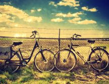 I love bicycles - HD romantic meet