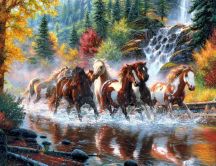 Beautiful horses running in river waters