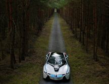 White BMW Vision EfficientDynamics in the forest