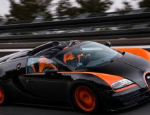 Bugatti Veyron top speed convertible