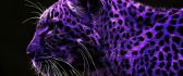 Purple tiger with black dots - Artistic wallpaper