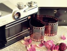 Camera photo and dry pink petals on the book