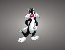 Black and white cat with red nose - Sylvester the cat